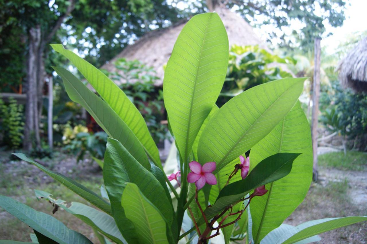 Hotel Pancho Villas Bacalar - Free Bikes And Paddles Экстерьер фото